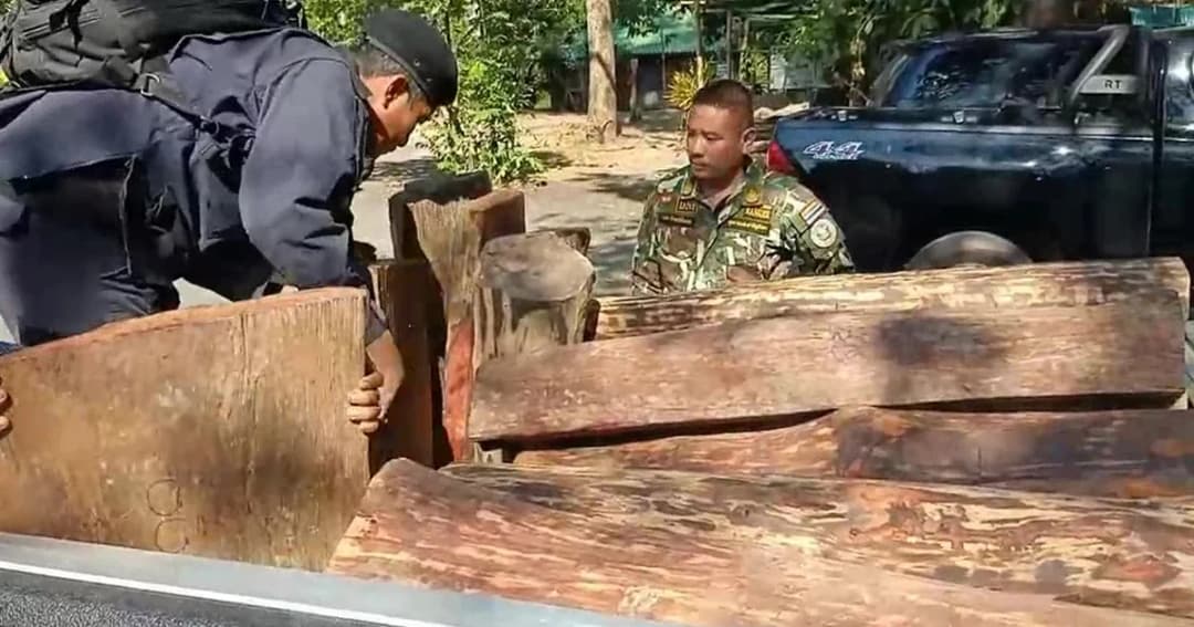 เจ้าหน้าที่สนธิกำลังบุกยึดไม้พะยูง 50 ท่อน คาดรอส่งขายต่างประเทศ