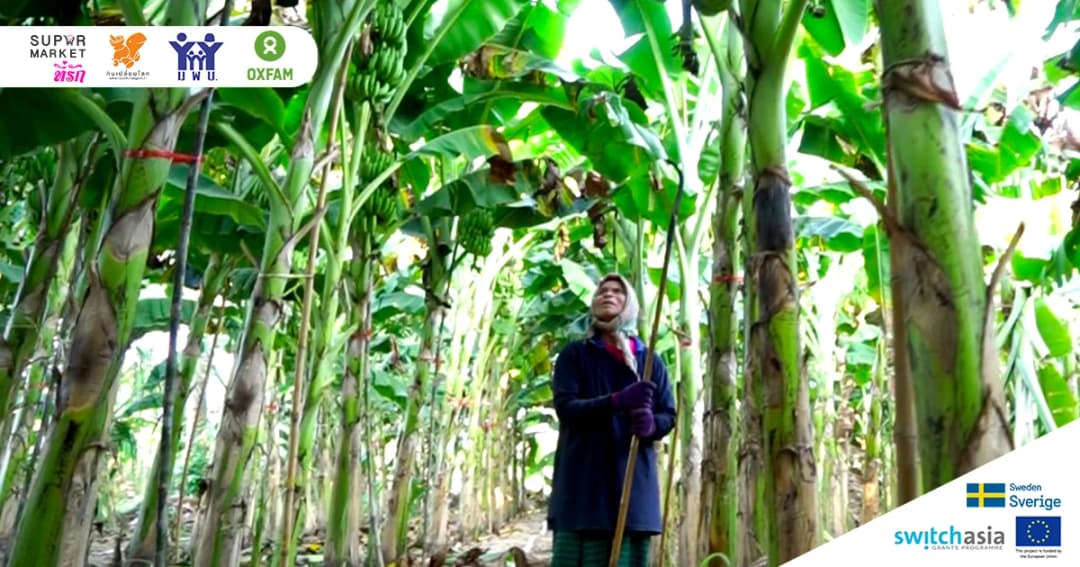 เกษตรกรได้ส่วนแบ่งจากพืชผลที่วางขายบนซูเปอร์มาร์เก็ตไม่ถึงครึ่ง ผู้บริโภคทำอะไรได้บ้าง