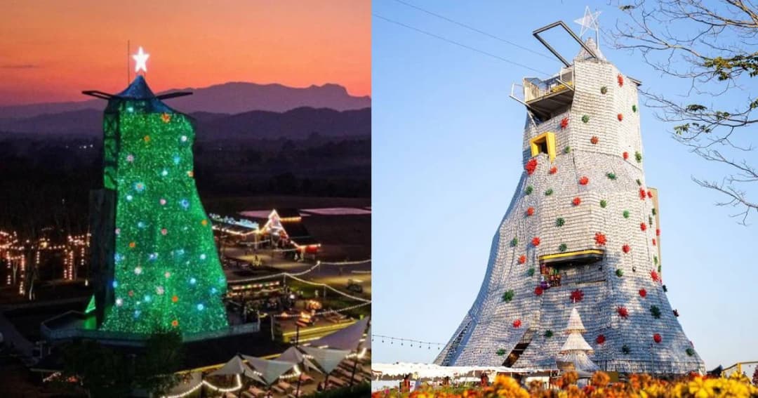 ไอเดียอินเทรนด์ ต้นคริสต์มาสยักษ์ทำจากขวดพลาสติกรีไซเคิลกว่าแสนใบ