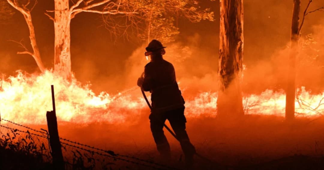 ทางการซิดนีย์โดนวิจารณ์อย่างหนัก หลังจุดพลุฉลองขณะสถาการณ์ไฟป่ายังรุนแรง