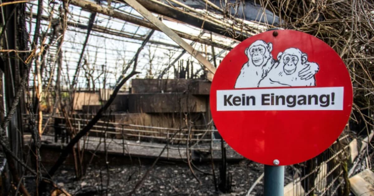 โคมไฟฉลองปีใหม่ตกในสวนสัตว์เยอรมัน ไฟไหม้สัตว์ตายคากรงกว่า 30 ตัว