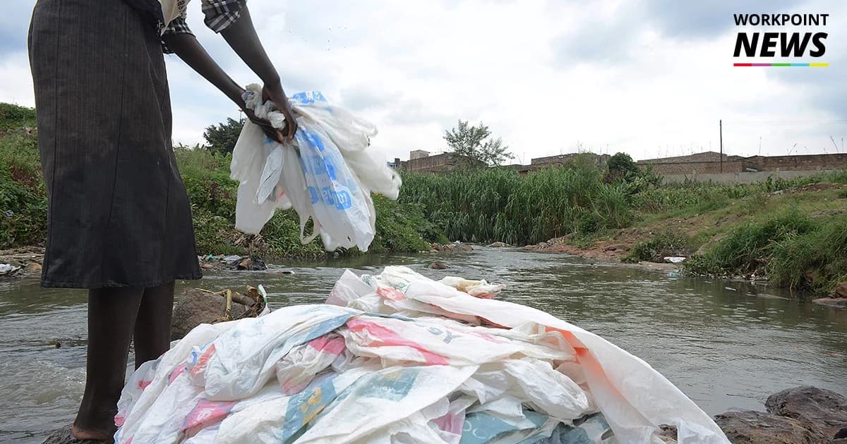 สำรวจความสำเร็จเคนยา หลังประกาศออกกฎหมายแบนถุงพลาสติก โทษปรับเป็นล้านบาท