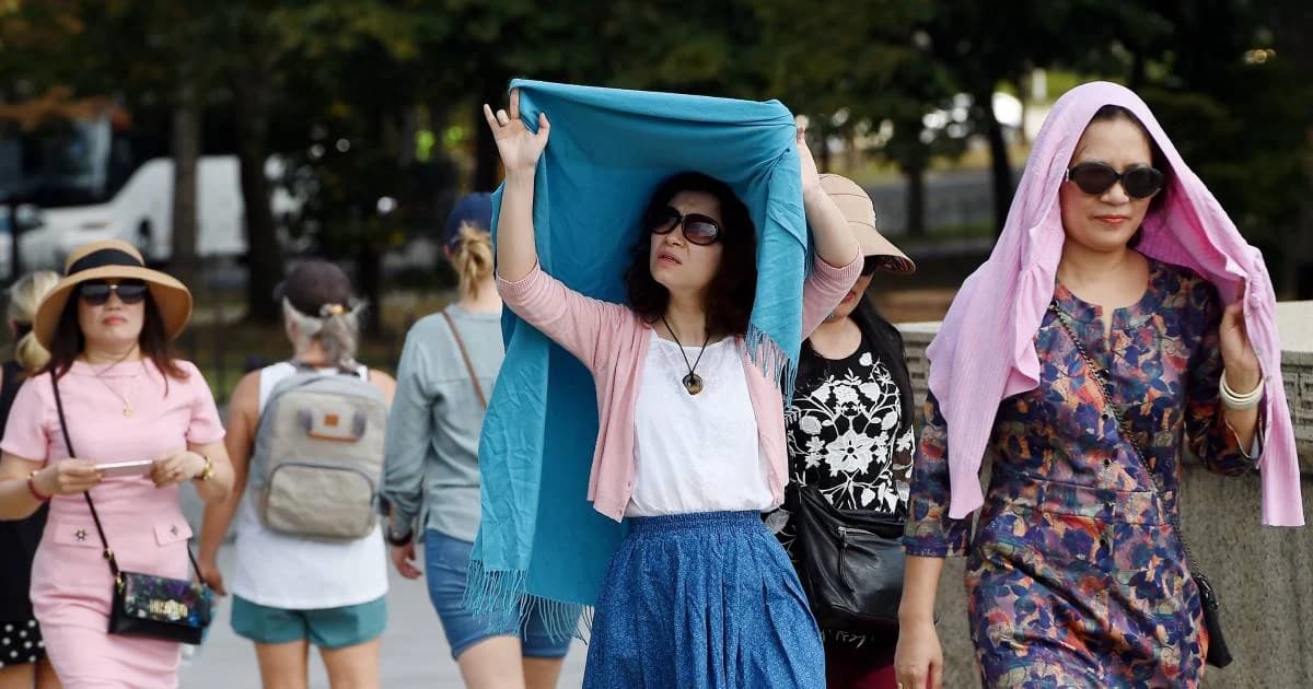 สำนักตรวจสอบสภาพภูมิอากาศยุโรปเผย ปี 2019 ร้อนสุดอันดับ 2 ในประวัติศาสตร์