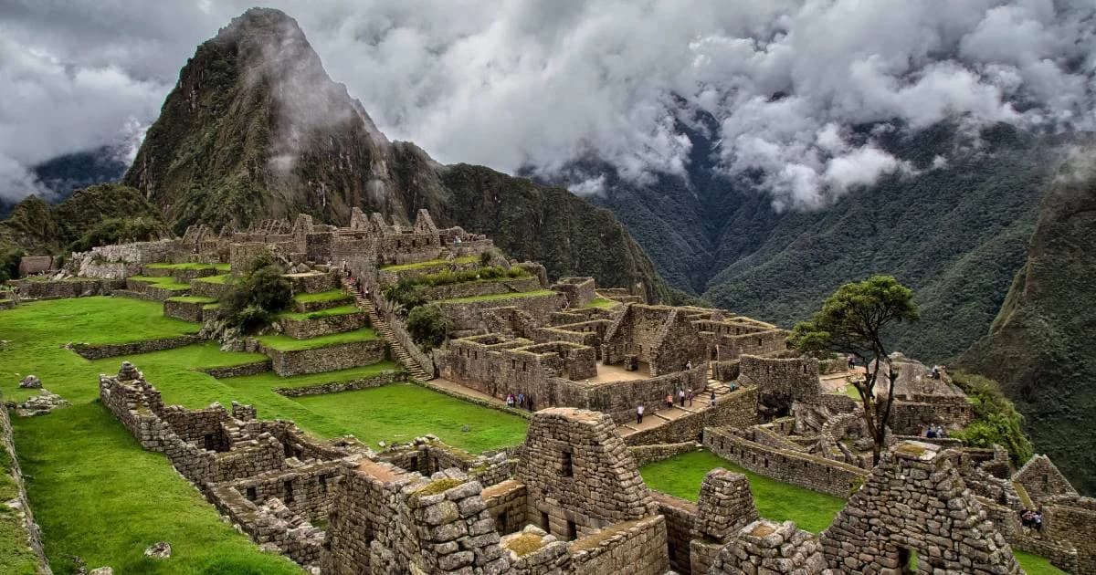 เปรูเตรียมปลูกป่า 1 ล้านต้น รอบมาชูปิกชู ฟื้นฟูระบบนิเวศ