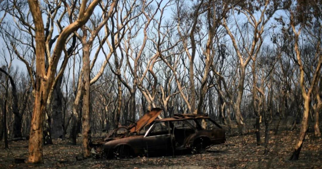 ออสเตรเลียสามารถควบคุมไฟป่าได้แล้วบางส่วนหลังมีฝนตกลงมา