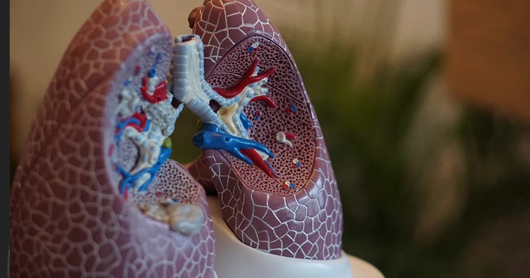 ทำความรู้จักเชื้อไวรัสโคโรนาสายพันธุ์ใหม่กับความเสี่ยงในประเทศไทย