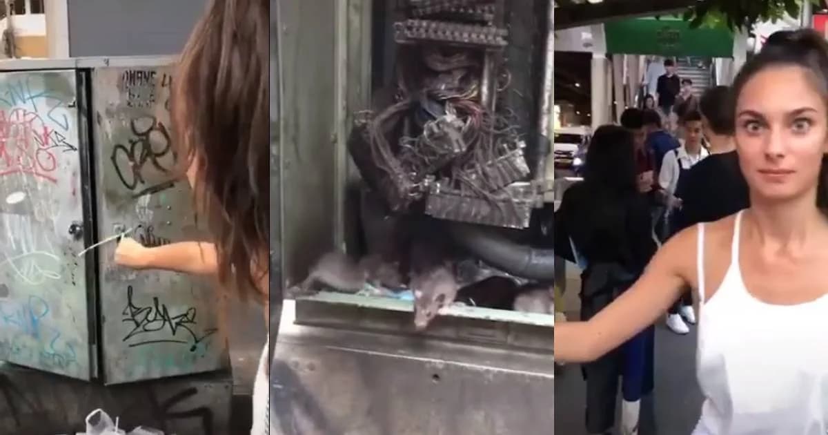 แก้ไขทันทีที่ถูกประจาน คลิปฝรั่งเปิดตู้สื่อสารกลางกรุงเจอหนูอยู่เพียบ