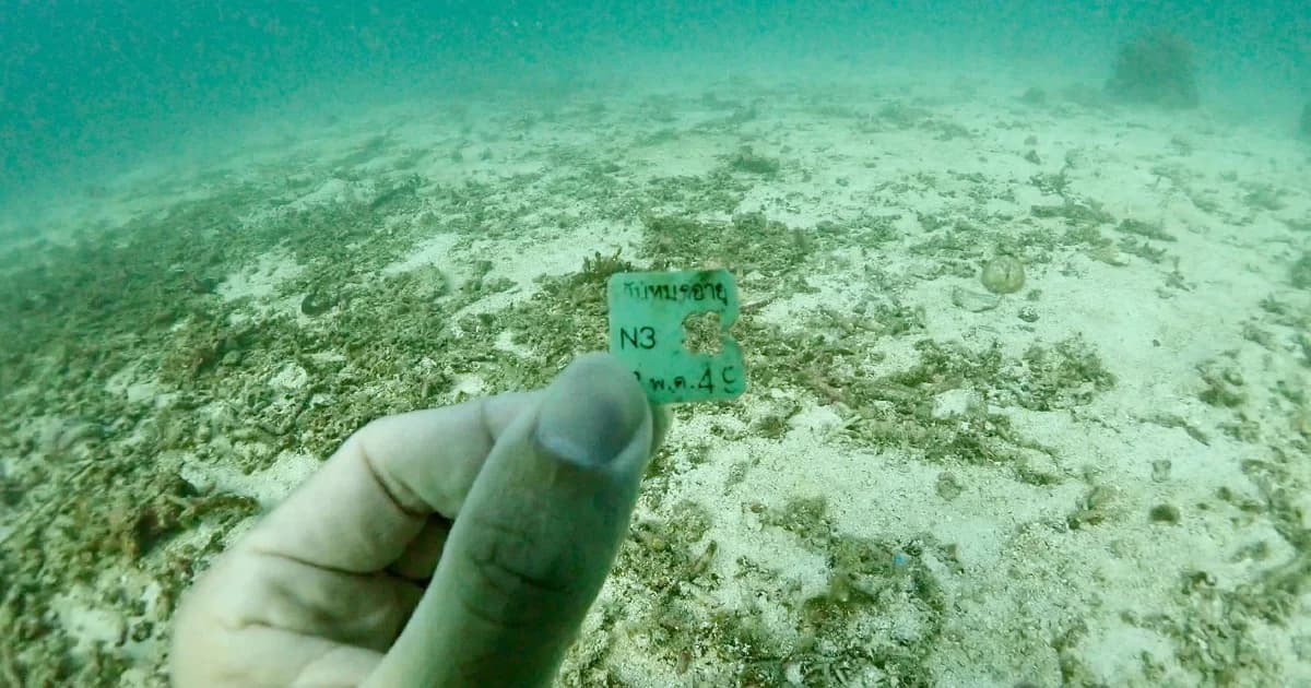 จากปี 2549 ถึงปี 2563 คลิปล็อคขนมปังพลาสติกชิ้นเล็กๆ ยังไม่หายไป