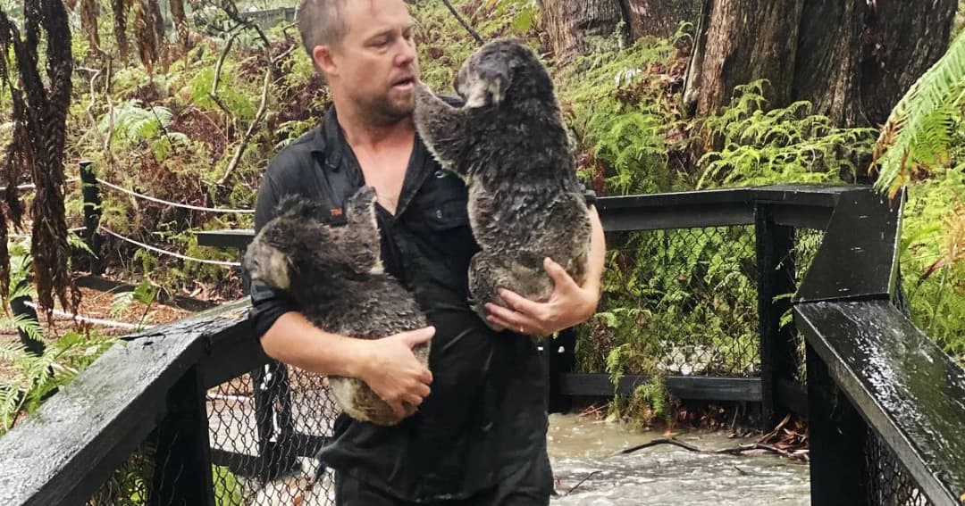 สวนสัตว์ออสเตรเลียเผชิญน้ำท่วมฉับพลัน เจ้าหน้าที่เร่งอพยพสัตว์เป็นการด่วน