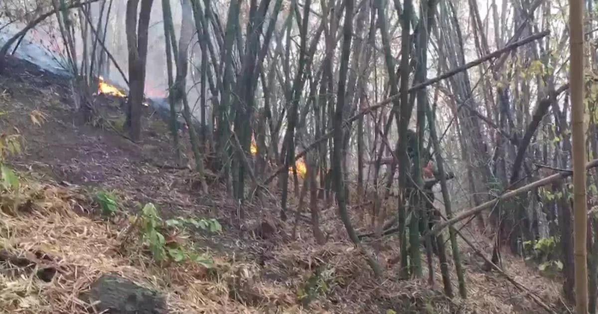 ไฟป่าลุกไหม้ป่าสงวนแห่งชาติป่าฝั่งซ้ายแม่น้ำภาชี 700 ไร่