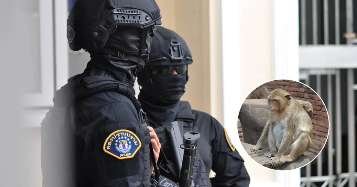 รู้จัก “หน่วยหนุมาน” จับโจรชิงทอง ในเมืองลพบุรีตำนานแห่งลิง