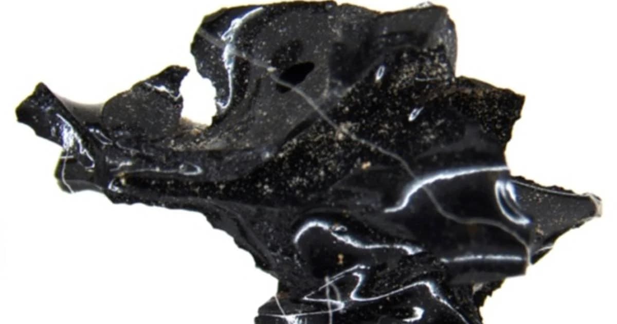 นักวิจัยชี้ความร้อนจากภูเขาไฟวิสุเวียส ทำให้สมองของเหยื่อรายหนึ่งกลายเป็นแก้ว