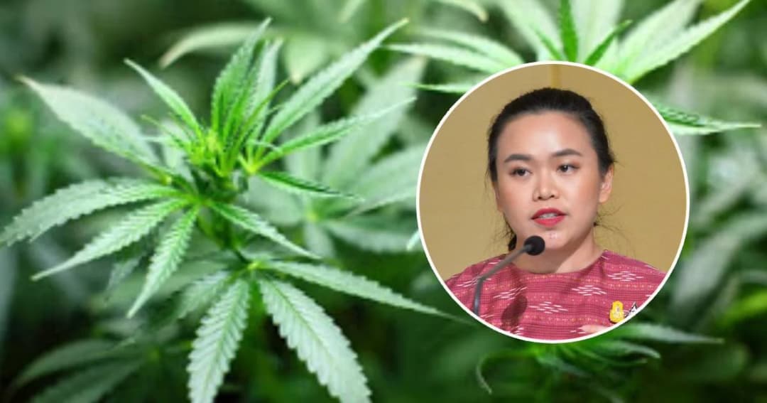 ครม.ไฟเขียว “กัญชง” เป็นพืชเศรษฐกิจใหม่-ขอปลูกได้ครัวเรือนละไม่เกิน 1 ไร่