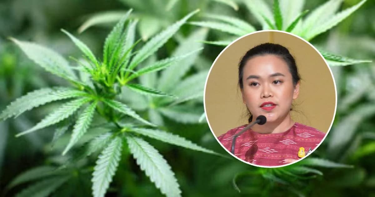 ครม.ไฟเขียว “กัญชง” เป็นพืชเศรษฐกิจใหม่-ขอปลูกได้ครัวเรือนละไม่เกิน 1 ไร่