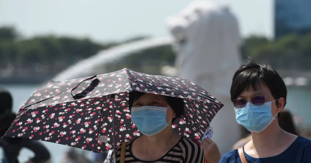 สิงคโปร์เดินหน้าแจกหน้ากากอนามัยให้ประชาชนฟรี จนถึงวันเสาร์นี้