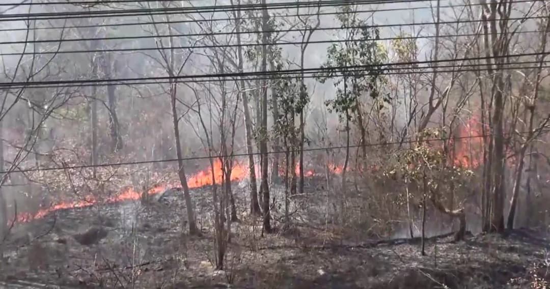 เกิดเหตุไฟป่าลุกลามอุทยานขุนตาลเสียหาย 60ไร่ คาดต้นเพลิงมาจากคนหาของป่า