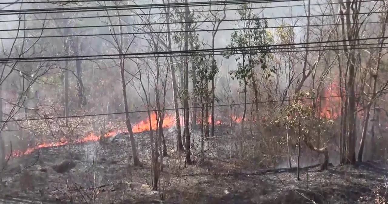 เกิดเหตุไฟป่าลุกลามอุทยานขุนตาลเสียหาย 60ไร่ คาดต้นเพลิงมาจากคนหาของป่า