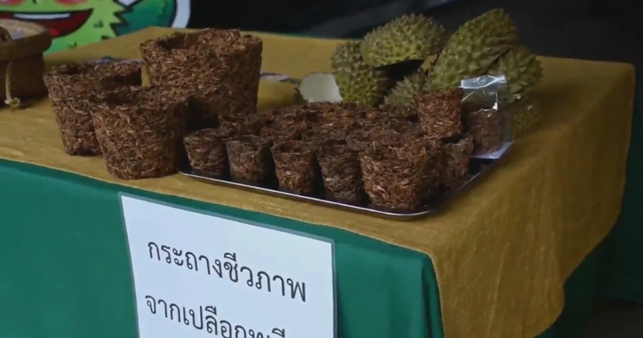 ไอเดียนศ.อุตรดิตถ์ เปลี่ยนเปลือกทุเรียน เป็นกระถางต้นไม้ย่อยสลายได้