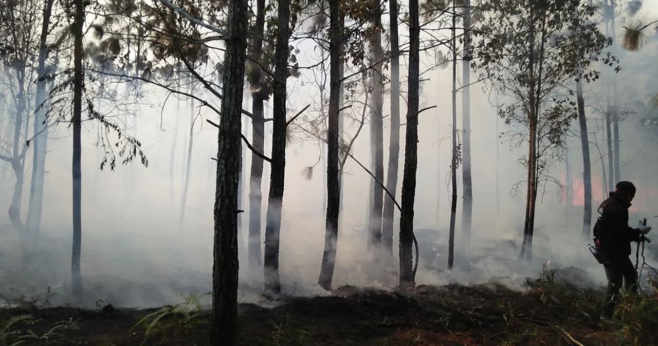 ควบคุมไฟป่าไหม้ยอดภูกระดึงได้แล้ว จนท.เผยสาเหตุไม่ใช่ก้นบุหรี่