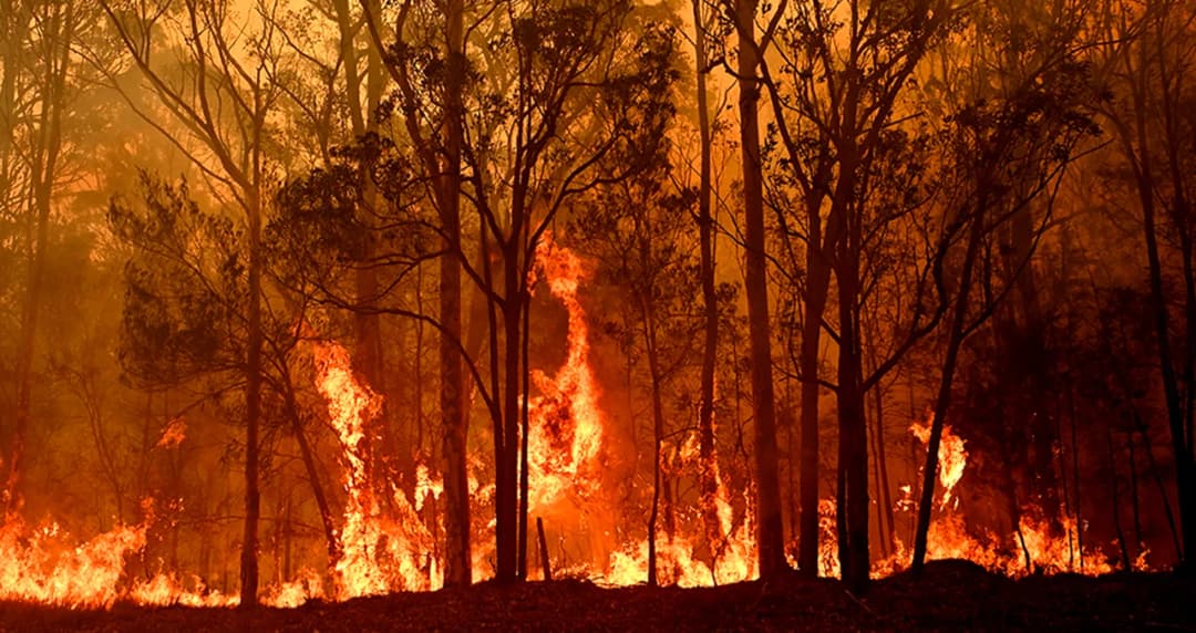 “เริ่มที่ตัวเอง” ไม่พอแล้วถ้าจะแก้โลกร้อน คุยกับวรรณสิงห์ ประเสริฐกุล กับประสบการณ์ดูไฟป่าที่ออสเตรเลีย