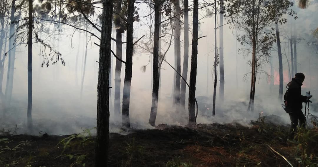เปิดภาพถ่ายดาวเทียมป่าสนเขาภูกระดึงถูกไฟไหม้เสียหาย 3,700 ไร่