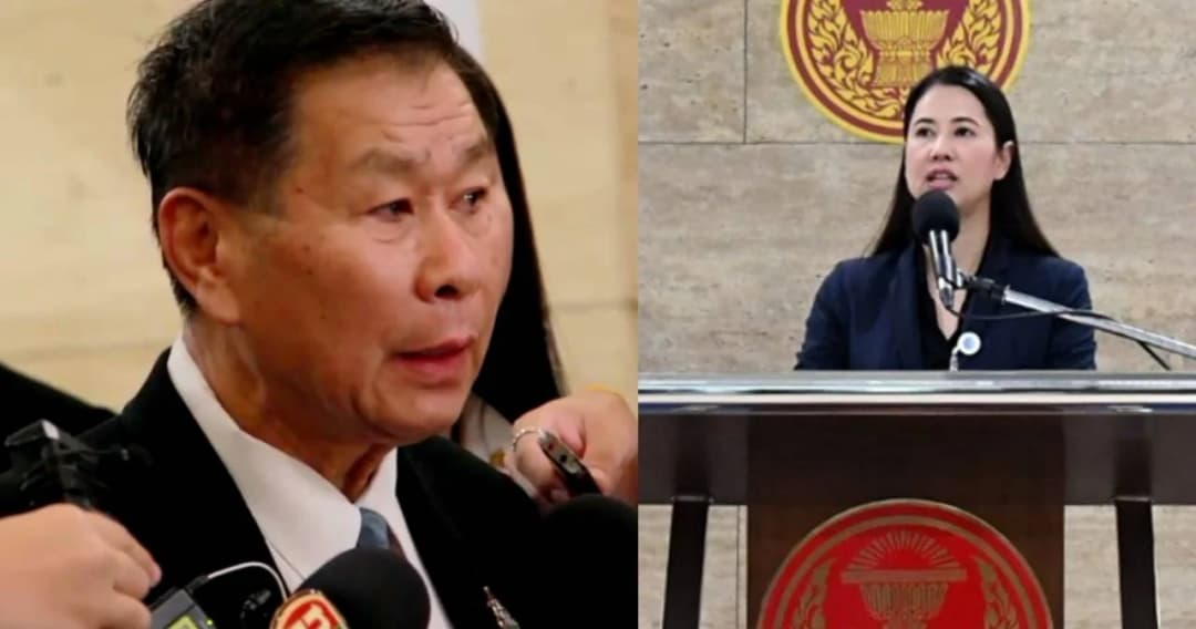 “เสรีพิศุทธ์” แบน “ปารีณา” ไม่ให้สอบที่ดินแม่ธนาธร-แฉมอบงานให้แล้วไม่เคยทำ