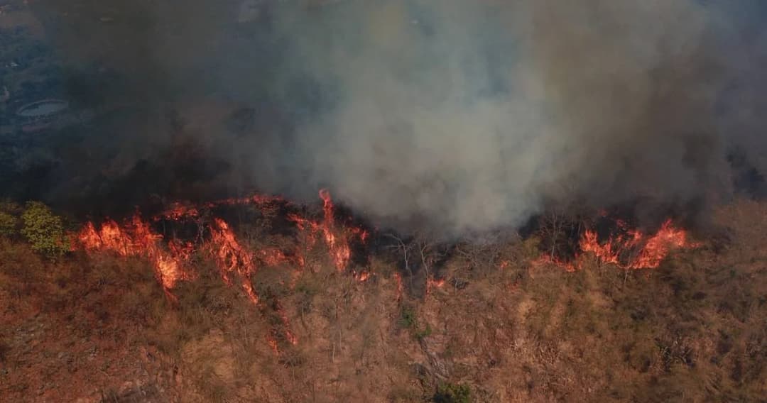 ระดมอากาศยาน-ชุดเดินเท้าเร่งดับไฟป่านครนายก หวั่นลามเขาใหญ่-เขตไม้พะยูงป่า