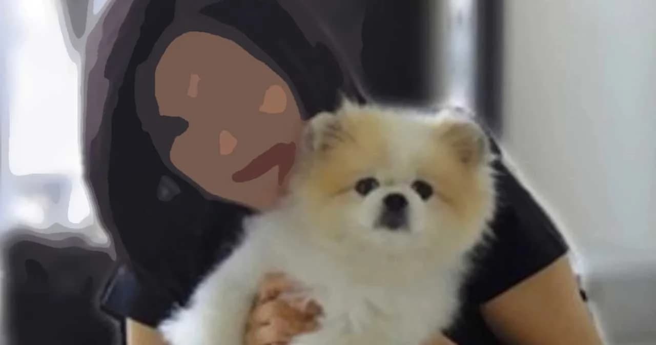 สุนัขของผู้ป่วย Covid-19 ในฮ่องกงมีผลทดสอบเป็นบวก