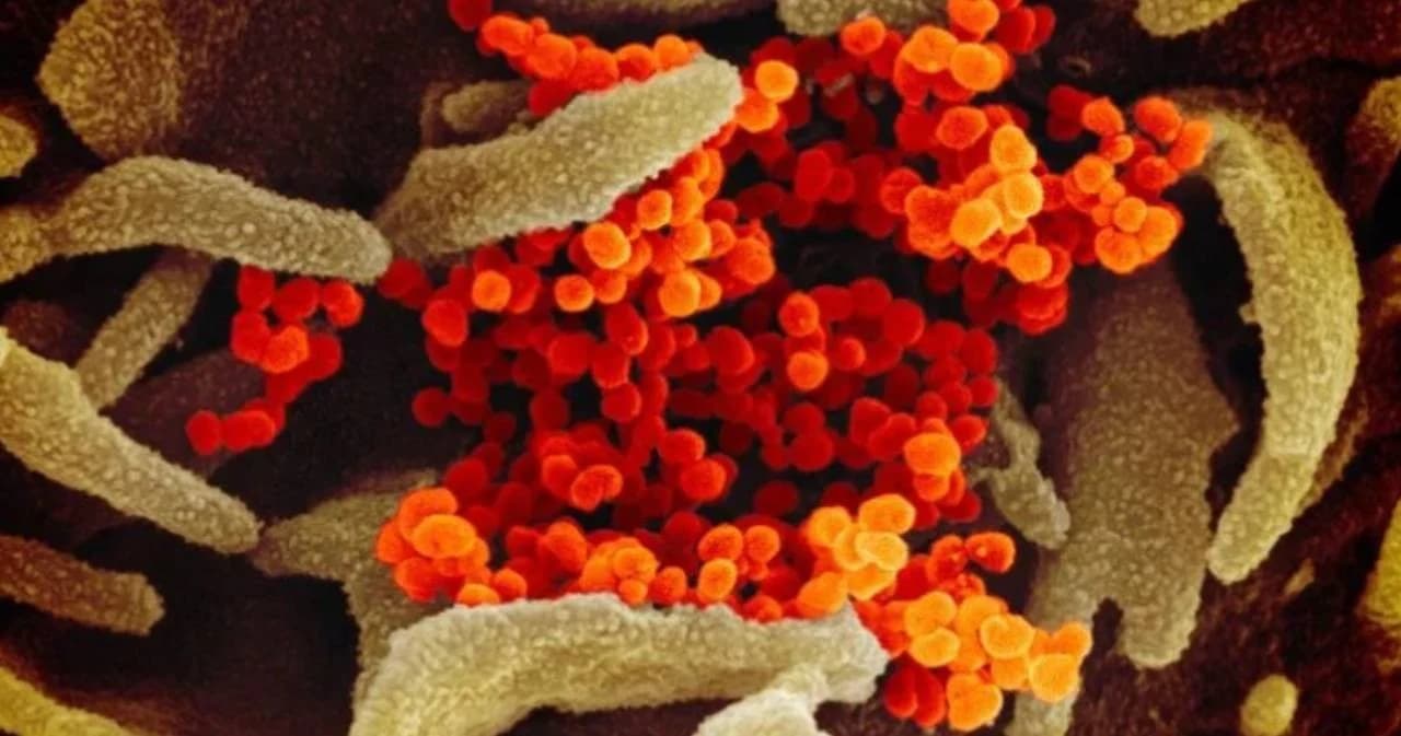 เช็กสถานที่ 35 แห่ง ตรวจโควิด-19 ฟรี ถ้า “เข้าข่ายเสี่ยง”