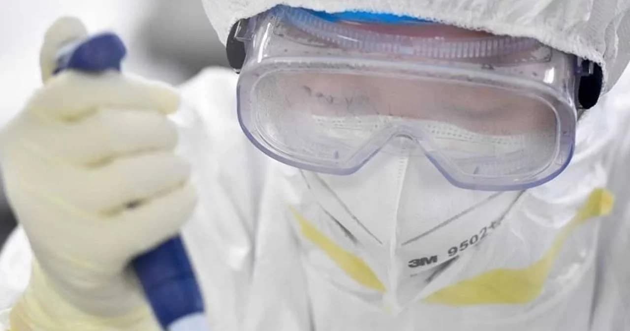 จีนไฟเขียวสั่งผลิต “ฟาวิพิราเวียร์” หลังรักษาโควิด-19 ได้ในระดับดี