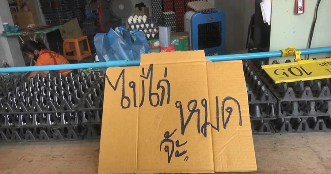 คนบ่น “ไข่ไก่” แพงขึ้น-หาซื้อยาก ช่วงวิกฤติโควิด-19