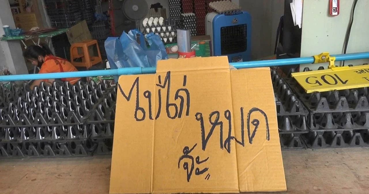 คนบ่น “ไข่ไก่” แพงขึ้น-หาซื้อยาก ช่วงวิกฤติโควิด-19