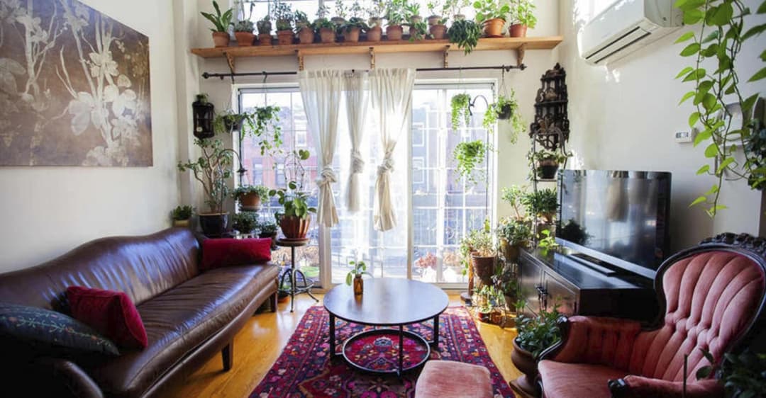 ไอเดียปลูกต้นไม้ฉบับมนุษย์หอพัก