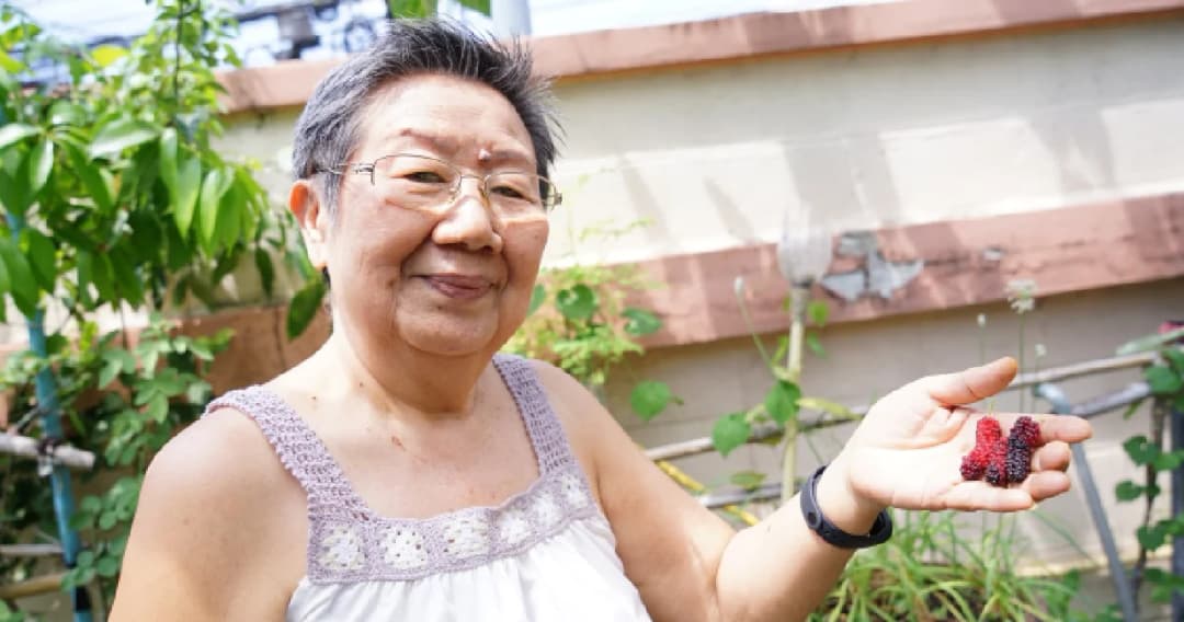 หมอแนะ ผู้สูงอายุควรป้องกันตัวเองด้วยการอยู่บ้าน ลดความเสี่ยงติดเชื้อ COVID-19