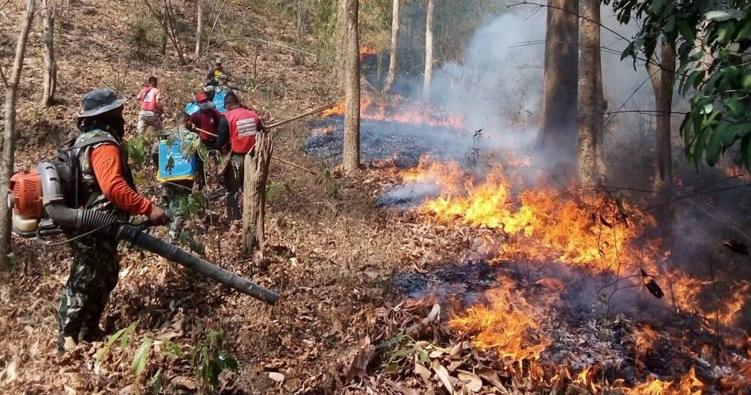 ไฟป่าภาคเหนือวิกฤติพบจุดความร้อน 3 เดือนสูงถึง  13,323 จุด