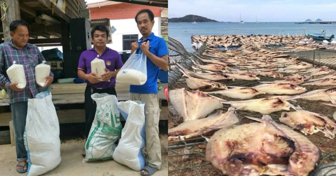 ทัพฟ้าส่ง C-130 ช่วยขนข้าวชาวนาจากยโสธร เปลี่ยนแลกปลาชาวเลภูเก็ต สู้ภัยโควิด