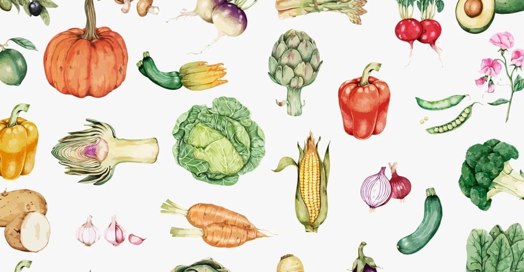 ปลูกผักโตไวกินได้ในช่วงกักตัว