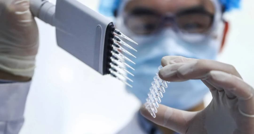 WHO ยันต้นตอเชื้อไวรัสโควิด-19 ไม่ได้ดัดแปลง-หลุดจากแล็บ