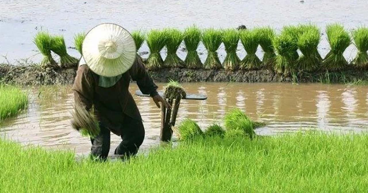 ก.เกษตรฯ เร่งขึ้นทะเบียนเกษตรกรเตรียมจ่ายเงินเยียวยาโควิดครัวเรือนละ 5 พัน 3 เดือน