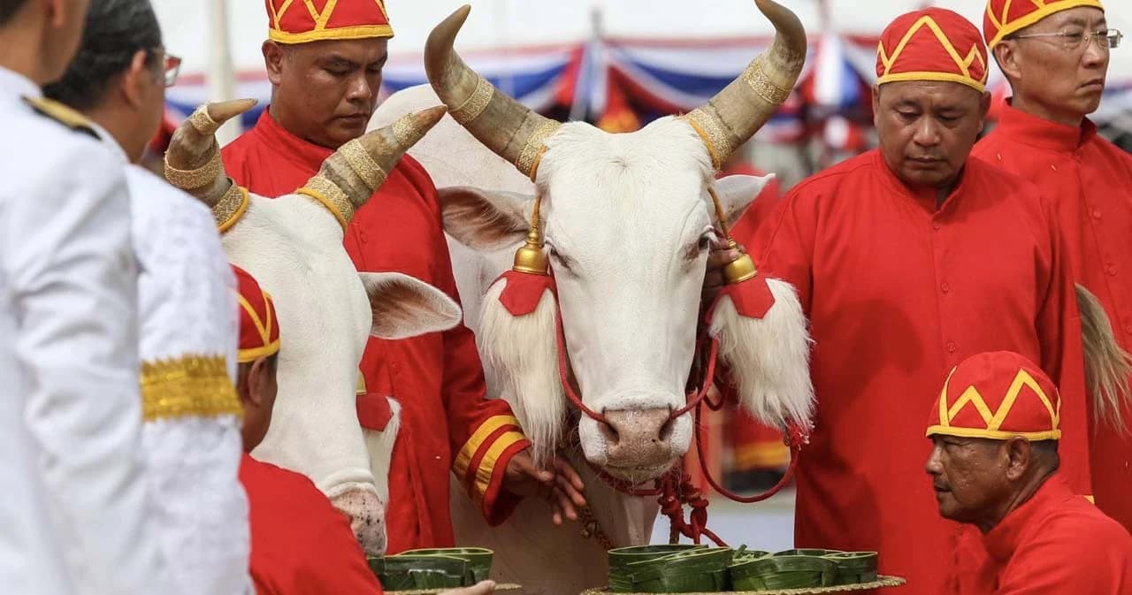 ในหลวงพระราชทานเมล็ดพันธุ์ข้าว 5 สายพันธุ์แจกเกษตรกรวันพืชมงคล