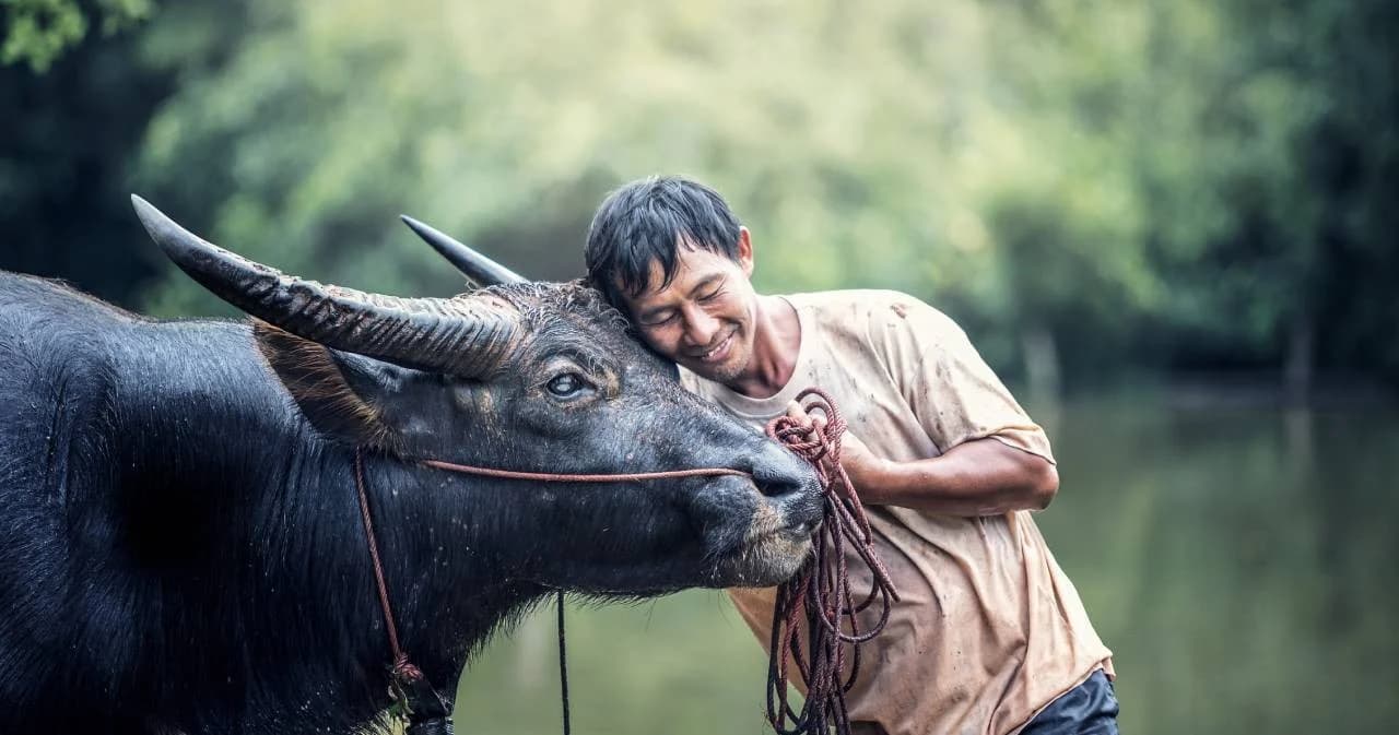 ธ.ก.ส. พักหนี้เกษตรกรลูกค้า 3.3 ล้านราย 1 ปี อัตโนมัติ