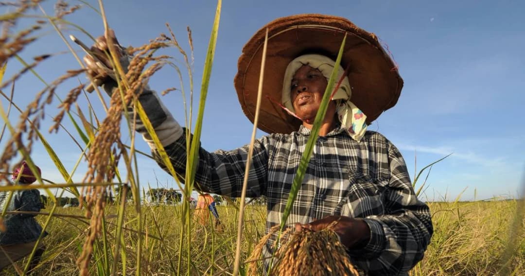 เกษียณแล้วทำเกษตรไม่ได้เงินเยียวยา แต่ถ้าเป็นข้าราชการอยู่ทำควบได้ 5 พันด้วย