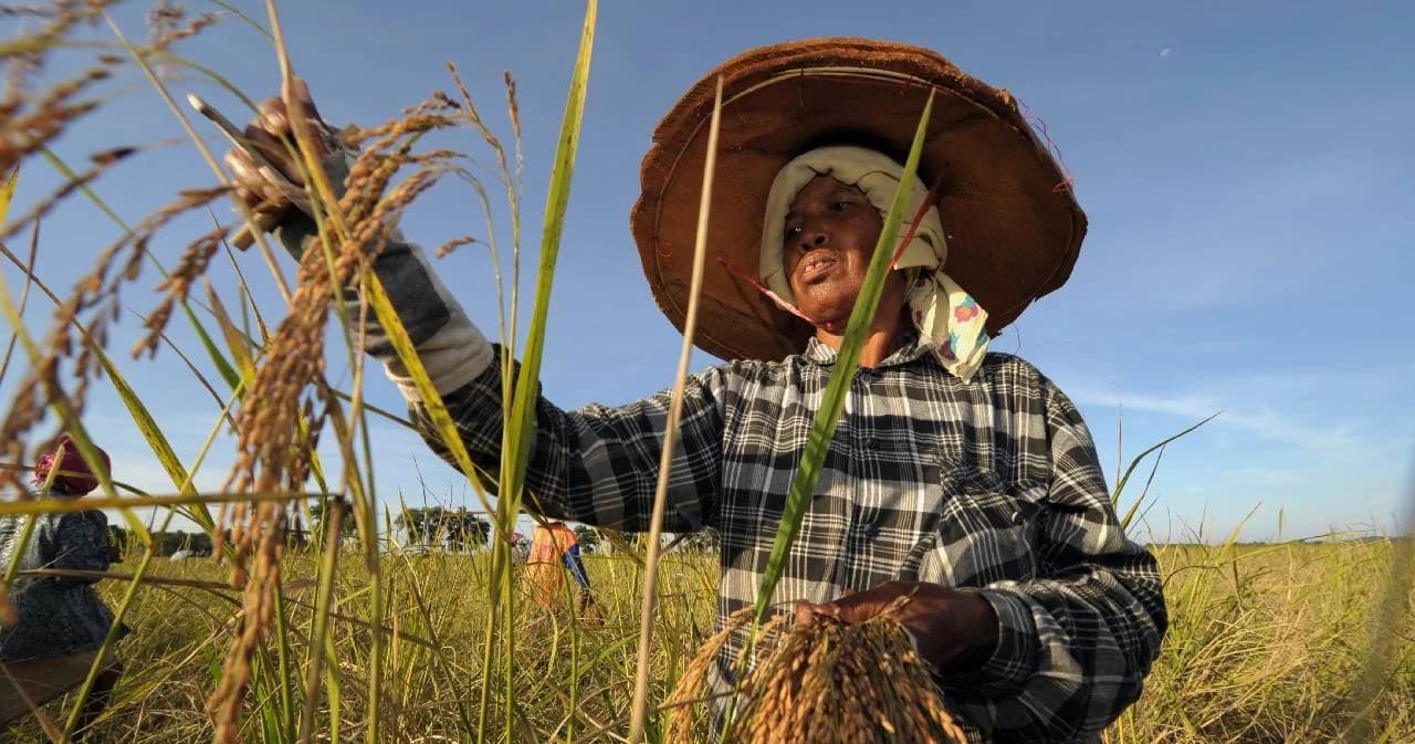 เกษียณแล้วทำเกษตรไม่ได้เงินเยียวยา แต่ถ้าเป็นข้าราชการอยู่ทำควบได้ 5 พันด้วย