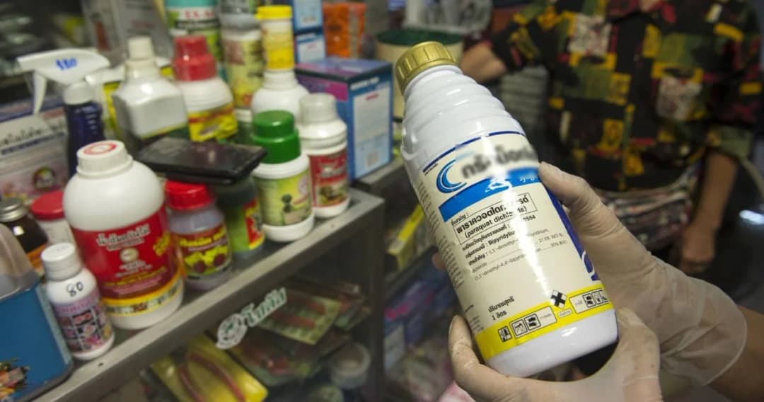 ประกาศลงราชกิจจานุเบกษาแล้ว แบน พาราควอต คลอร์ไพริฟอส 1 มิ.ย. นี้