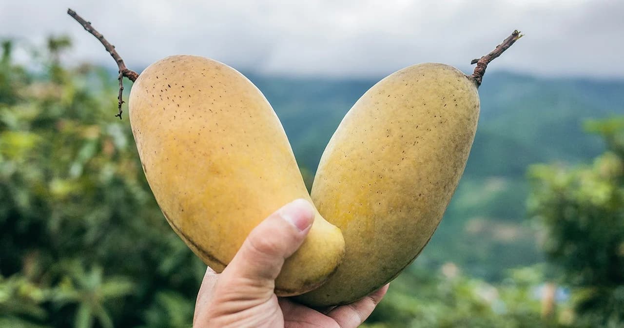 ผลไม้ไทยเตรียมลุยตลาดจีน หลังโควิด-19 คลี่คลาย