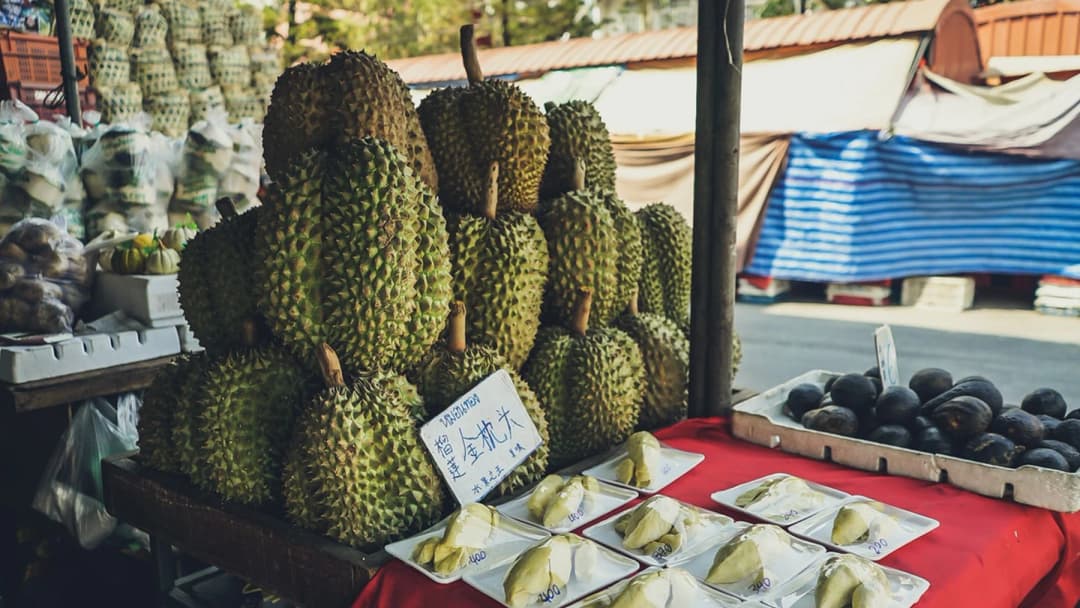 ไทยแชมป์ส่งออกทุเรียนยอดขายตลาดจีน 4 เดือนมูลค่ากว่า 567 ล้านเหรียญสหรัฐ