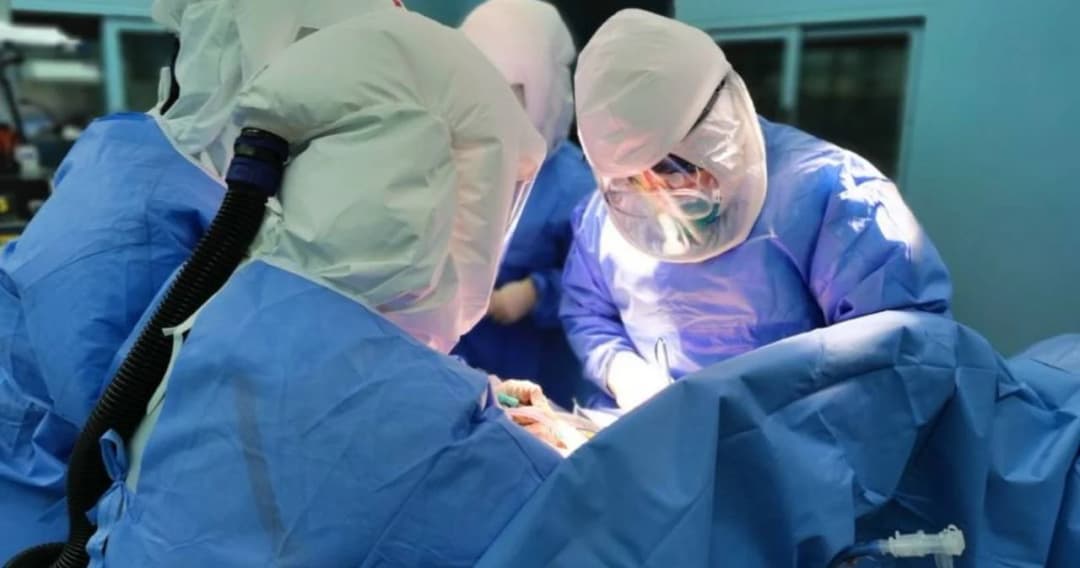 ทีมแพทย์อิตาลีผ่าตัดปลูกถ่ายปอดรักษาผู้ป่วยโควิด-19 สำเร็จ