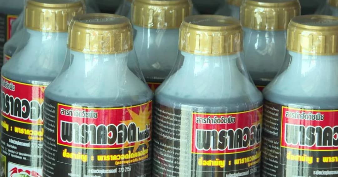 1 มิ.ย.แบนพาราควอต- คลอร์ไพริฟอส ผู้ครอบครองต้องส่งคืนใน 90 วัน