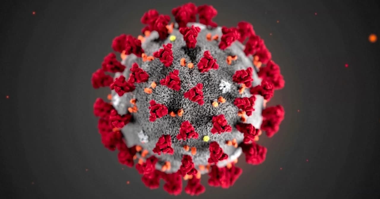 วันนี้ไทยไร้ผู้ติดเชื้อโควิด-19 ตัวเลขเป็นศูนย์ รวมป่วยสะสมรวม 3,376 คน