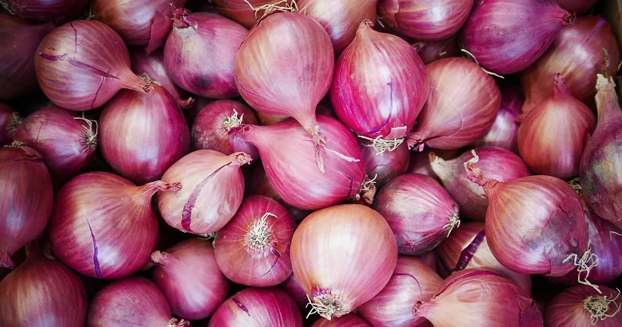 กรมทรัพย์สินทางปัญญาขึ้นทะเบียน GI หอมแดง กระเทียม จ.ศรีสะเกษ